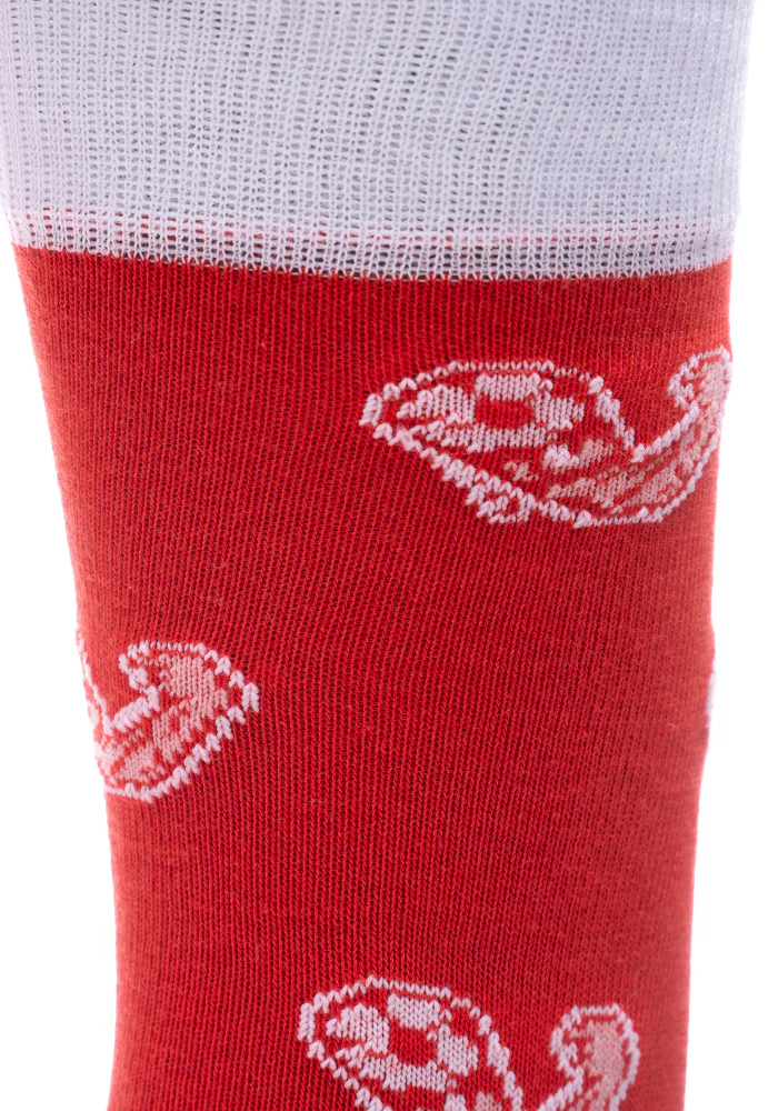 Calcetines Unisex Aniquiladores FC - Image 4