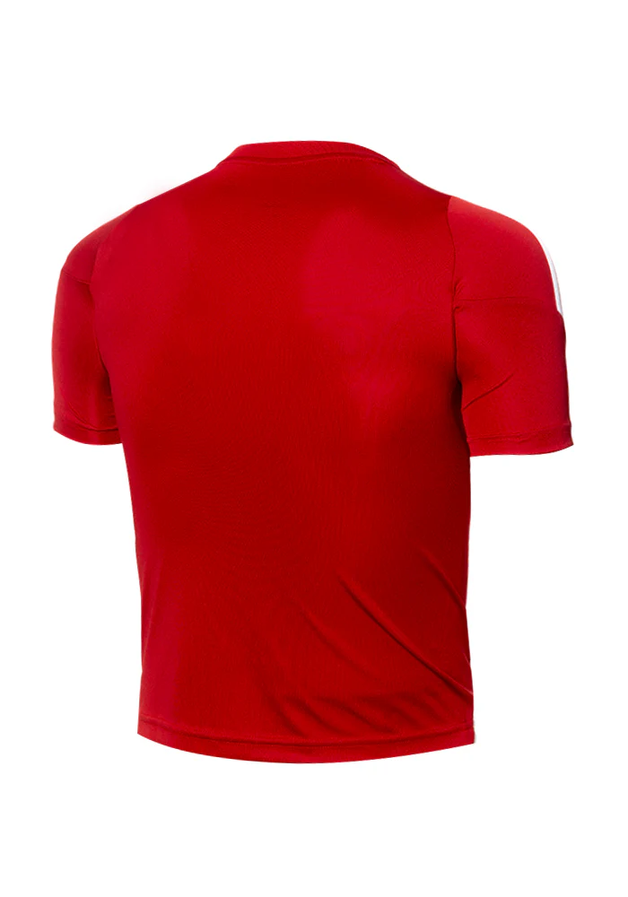 Camiseta Aniquiladores FC Training 2023-2024 Niño - Image 3